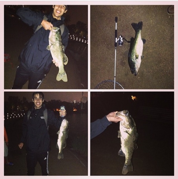 A photo of Fabian24's catch