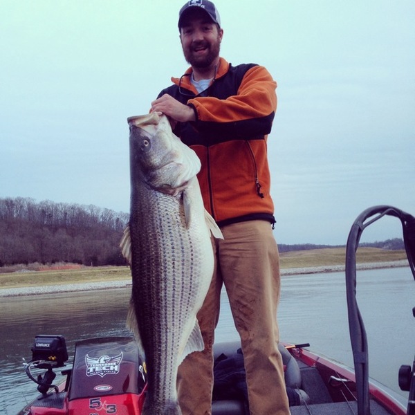 A photo of joe_ellis's catch