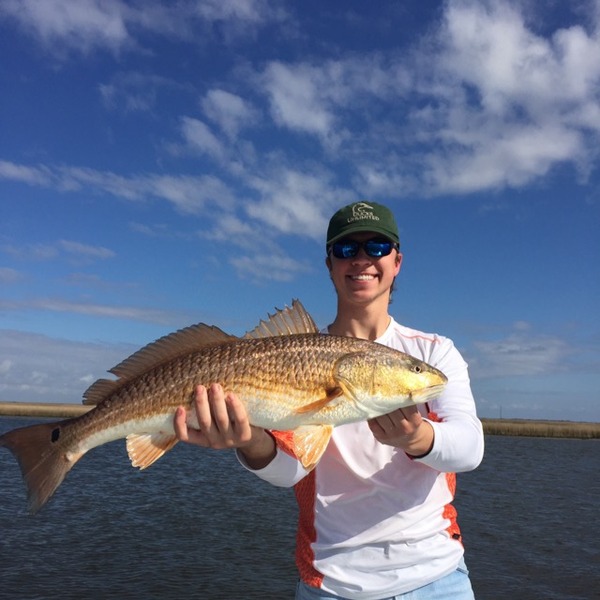 A photo of cole_papa's catch
