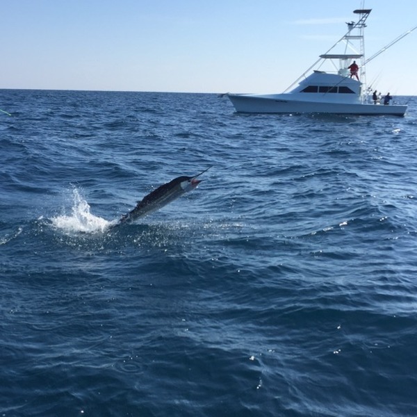 A photo of Gone_fishingg's catch