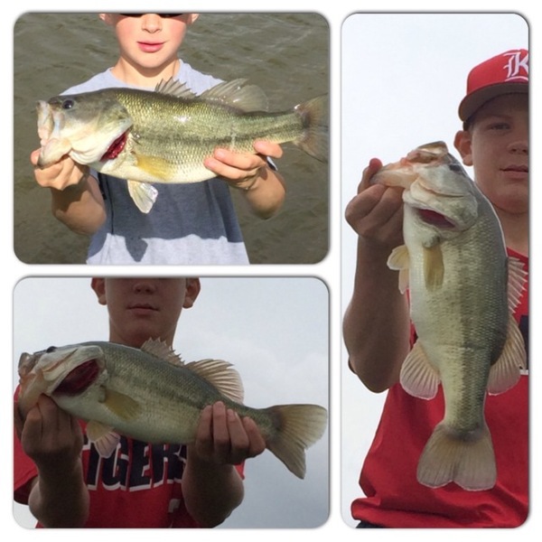 A photo of bassaholic24_7's catch