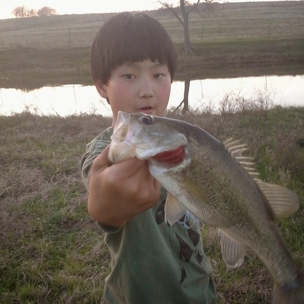 A photo of jschulz30's catch