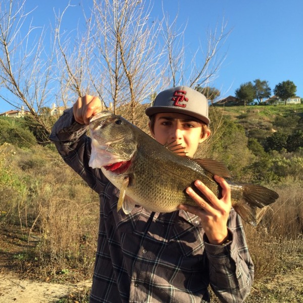 A photo of Beauk's catch