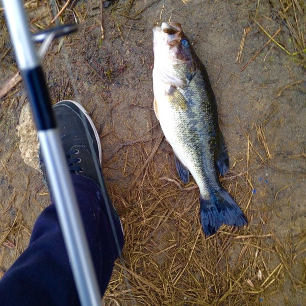 A photo of Jared_Friesen's catch