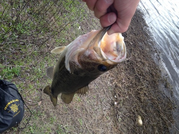 A photo of Jared_Friesen's catch