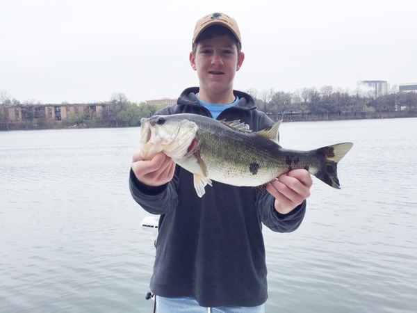 A photo of lawson88fish's catch
