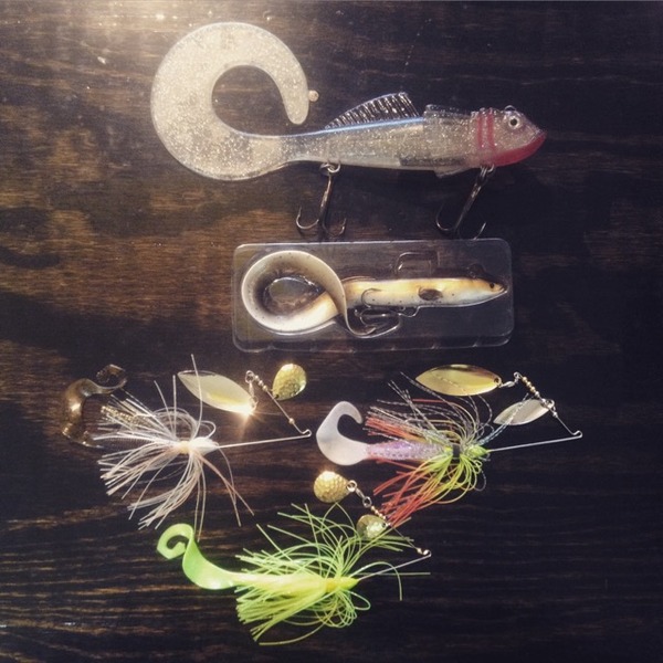 A photo of Cameron Cameron's catch