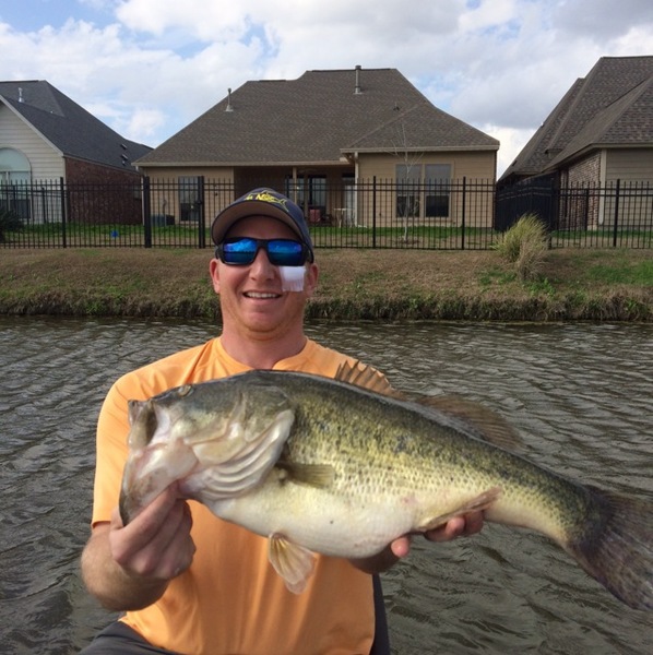 A photo of nafro12's catch