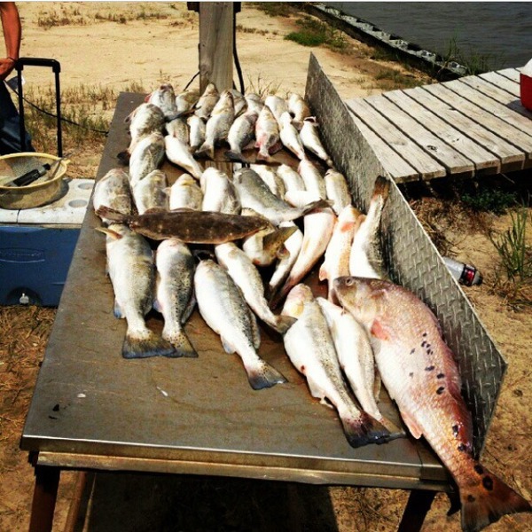 A photo of salty_scott95's catch