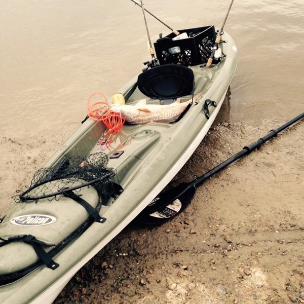 A photo of toupsiehunt's catch