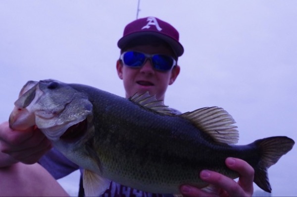 A photo of lawson88fish's catch