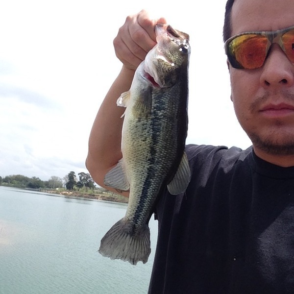 A photo of Rickerstaf's catch