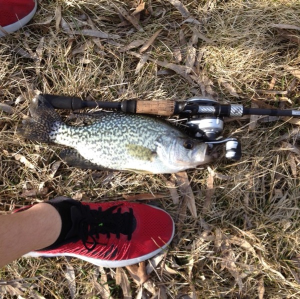 A photo of halfandhalf's catch