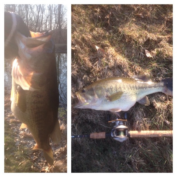 A photo of brad3507's catch