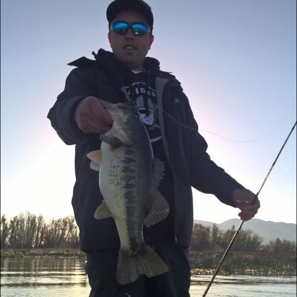 A photo of bayareabassin's catch