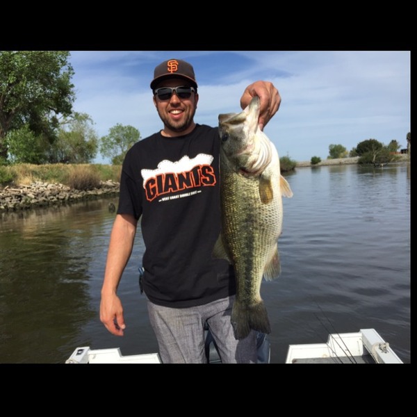 A photo of bayareabassin's catch