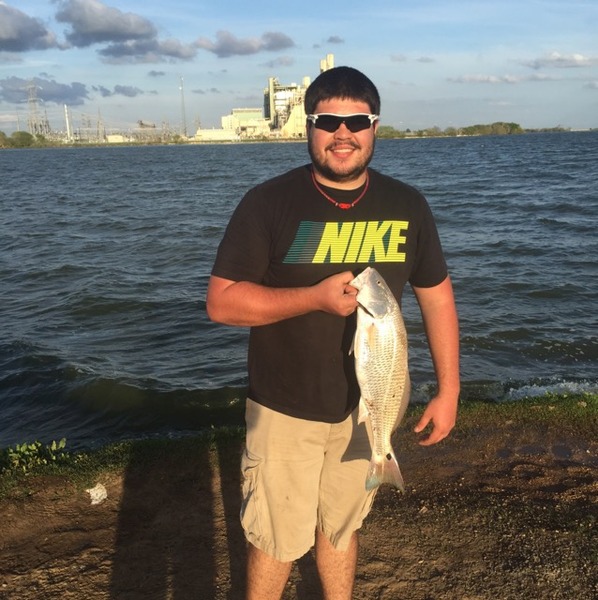 A photo of Hutch22's catch