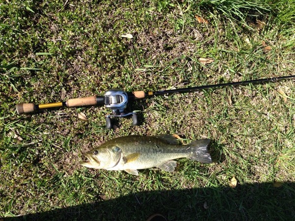 A photo of Jacob_Fishing's catch