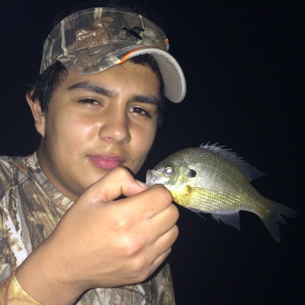 A photo of rjreyes29's catch