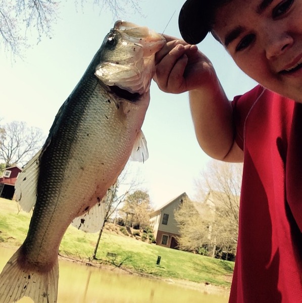A photo of Tyler9254's catch