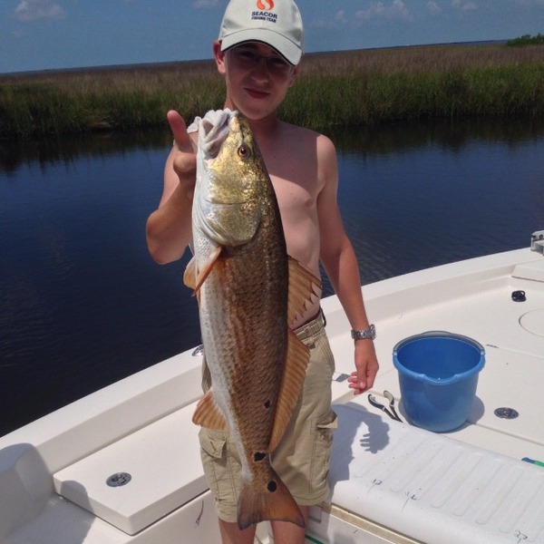 A photo of southern_fisherman_'s catch