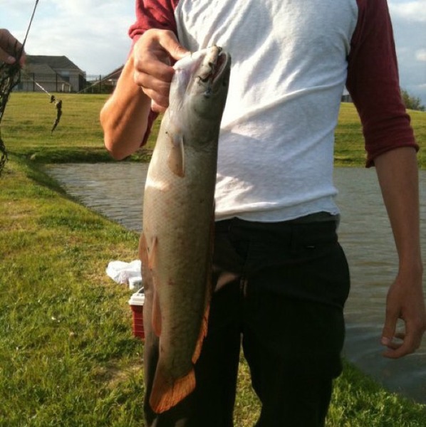 A photo of PatMas's catch