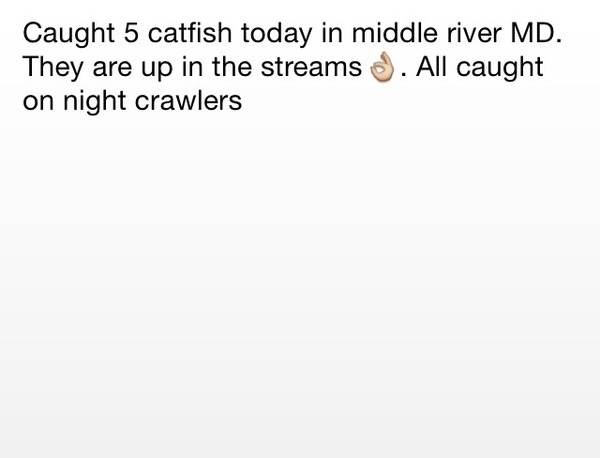 A photo of garrettmarders's catch
