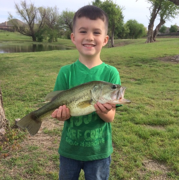 A photo of yatyas1985's catch