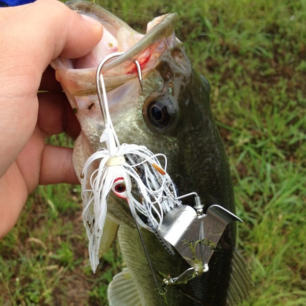 A photo of Alec Navarro's catch