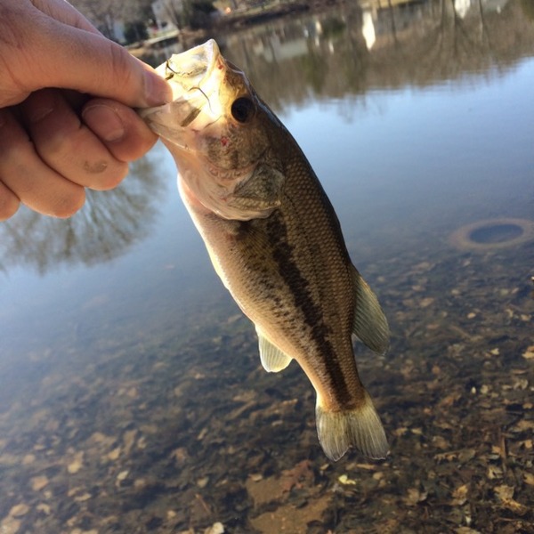 A photo of Mike Ruff's catch