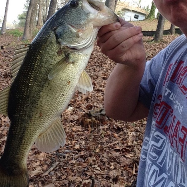 A photo of austink52's catch