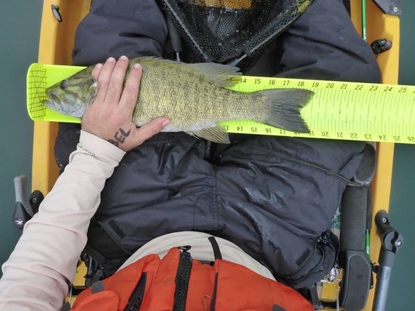 A photo of james454's catch