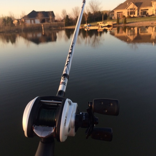 A photo of macthomson245's catch