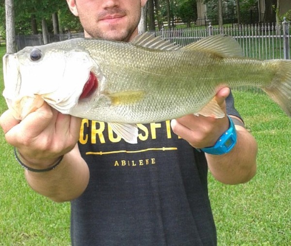A photo of BearC02's catch