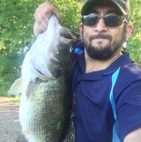 A photo of bubbabass's catch