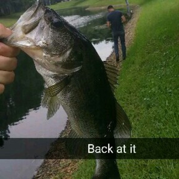 A photo of bassman8's catch