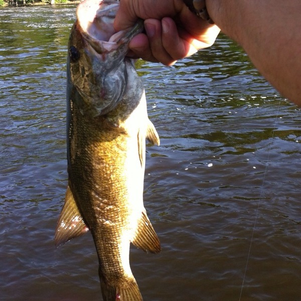 A photo of Matthew Town's catch