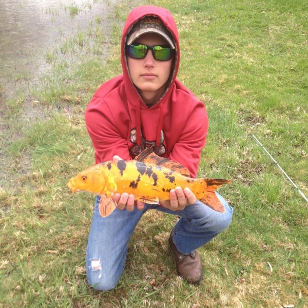A photo of kcmadig's catch