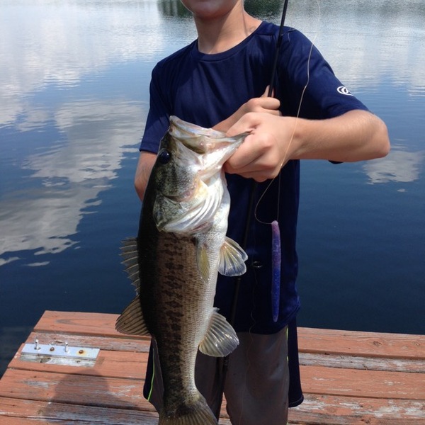 A photo of Chase22's catch