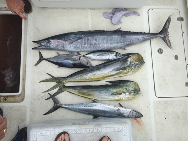 A photo of Joe Tunning's catch