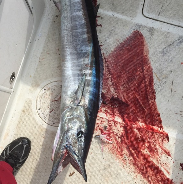 A photo of Joe Tunning's catch