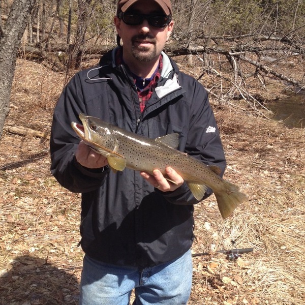 A photo of chefish's catch