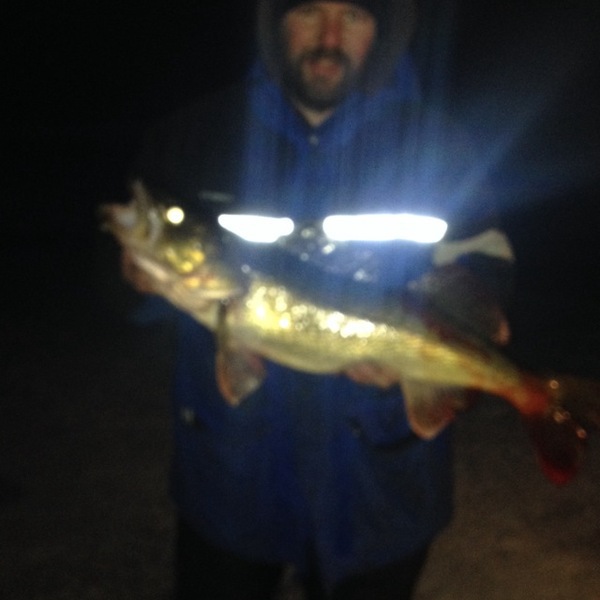 A photo of chefish's catch