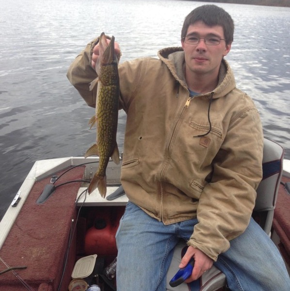 A photo of ndodg11259's catch