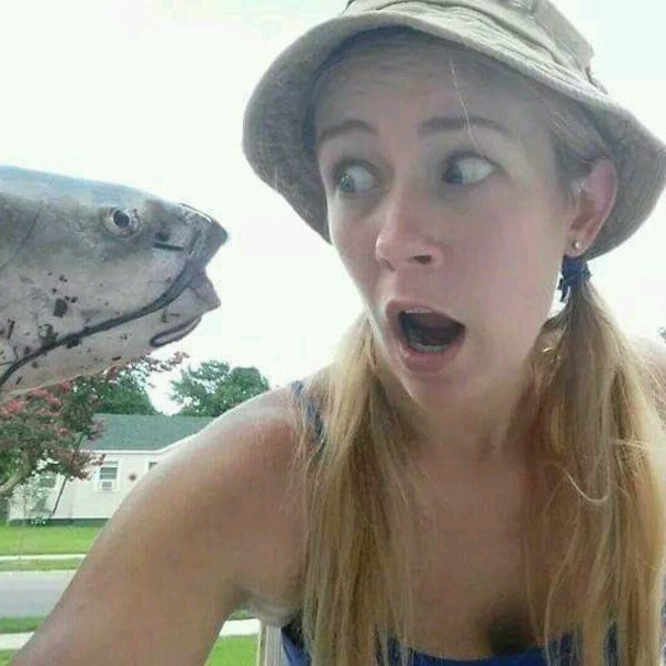 A photo of leem311's catch
