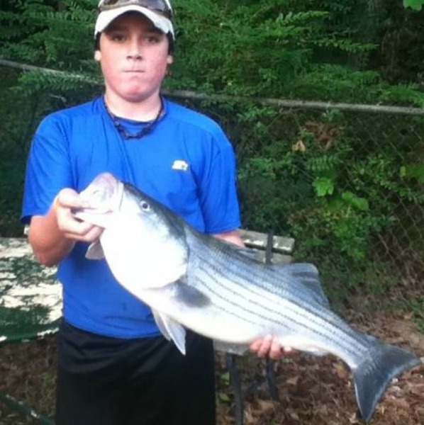 A photo of jdenton12's catch