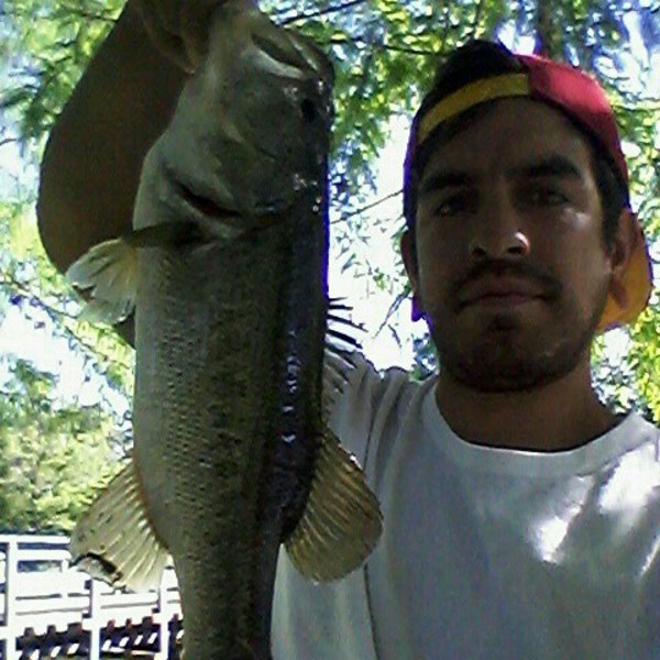A photo of davidgarciaa's catch