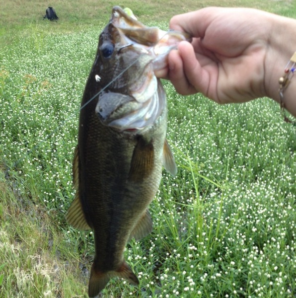 A photo of Alec Navarro's catch