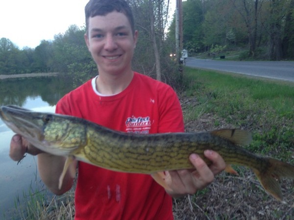 A photo of paulcapocciamo_24's catch