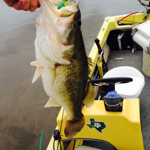 A photo of FishAg's catch